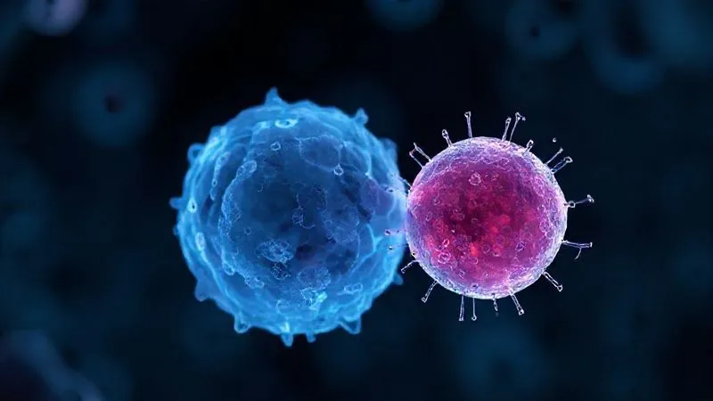 A photorealistic, professional photography, 8K, cinematic lighting, sharp focus, depth of field, shot on a high-end DSLR. Microscopic view of a healthy cell next to a subtly inflamed cell, showing slight cellular distress and surrounding inflammatory markers, with a soft, ethereal glow indicating a low-grade, persistent process. The healthy cell appears vibrant and intact, while the inflamed cell shows subtle signs of damage or stress, with faint, diffuse light emanating from its periphery. A photorealistic, professional photography, 8K, cinematic lighting, sharp focus, depth of field, shot on a high-end DSLR. Microscopic view of a healthy cell next to a subtly inflamed cell, showing slight cellular distress and surrounding inflammatory markers, with a soft, ethereal glow indicating a low-grade, persistent process. The healthy cell appears vibrant and intact, while the inflamed cell shows subtle signs of damage or stress, with faint, diffuse light emanating from its periphery.